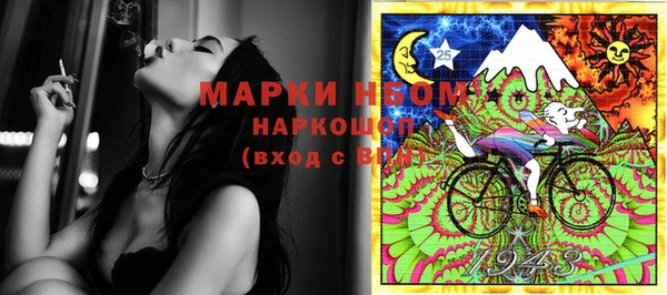 гашик Новокубанск