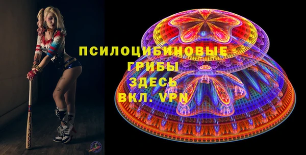 ешки Нефтегорск