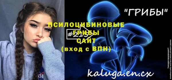 ALPHA PVP Новодвинск