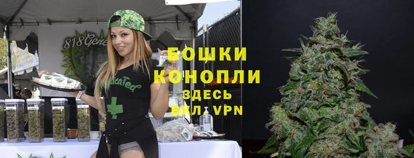 гашик Новокубанск