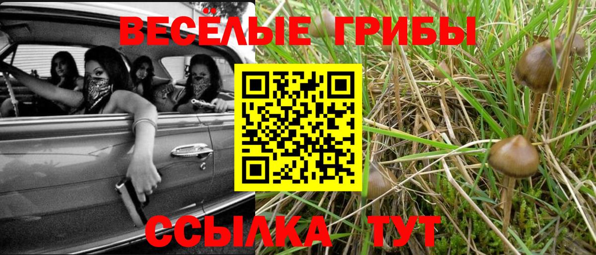 Галлюциногенные грибы Magic Shrooms  Вход с VPN  Полевской 