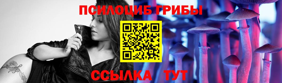 Псилоцибиновые грибы прущие грибы Полевской