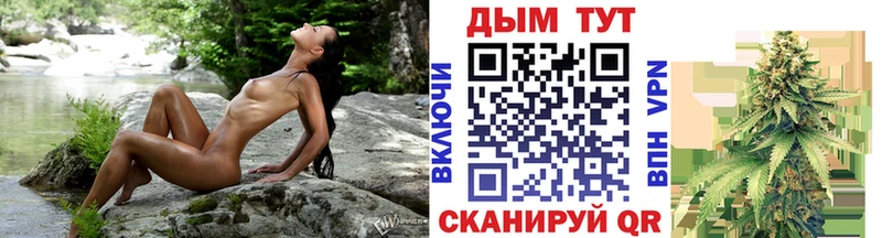 Конопля сатива  Полевской 